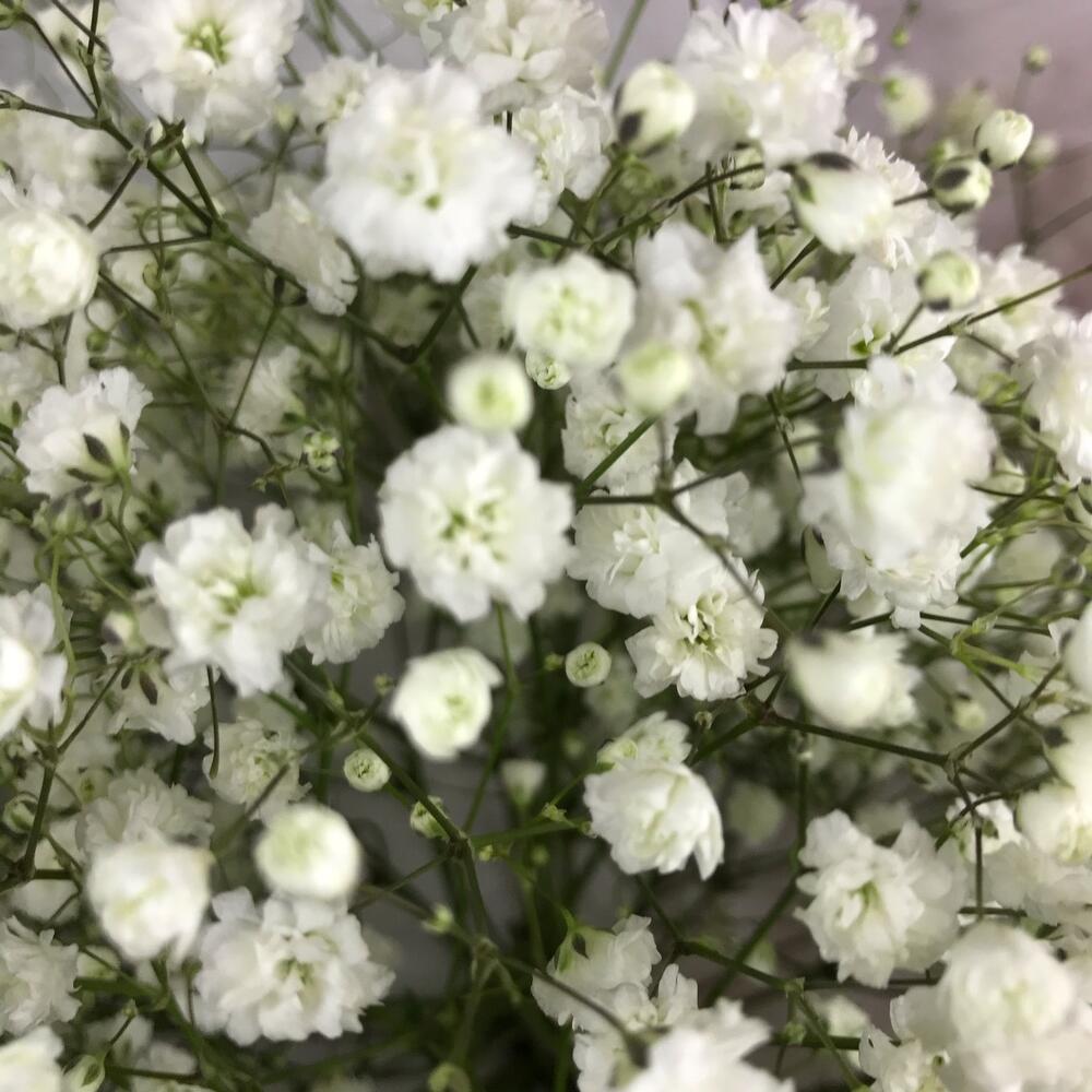 Букет   « О, облака ☁️ »